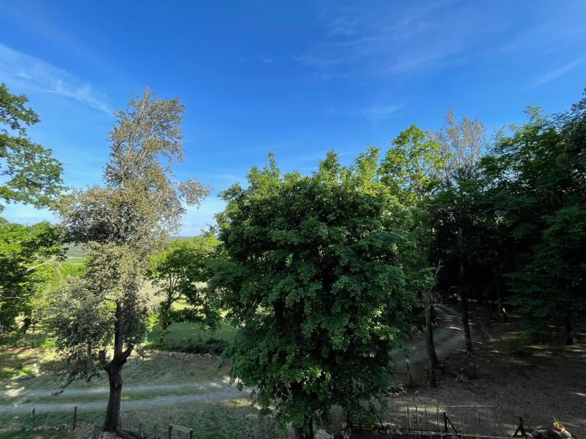 Villa Lilia By Let Siena Dış mekan fotoğraf