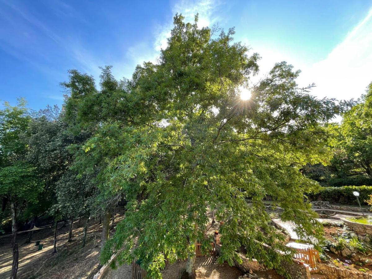Villa Lilia By Let Siena Dış mekan fotoğraf